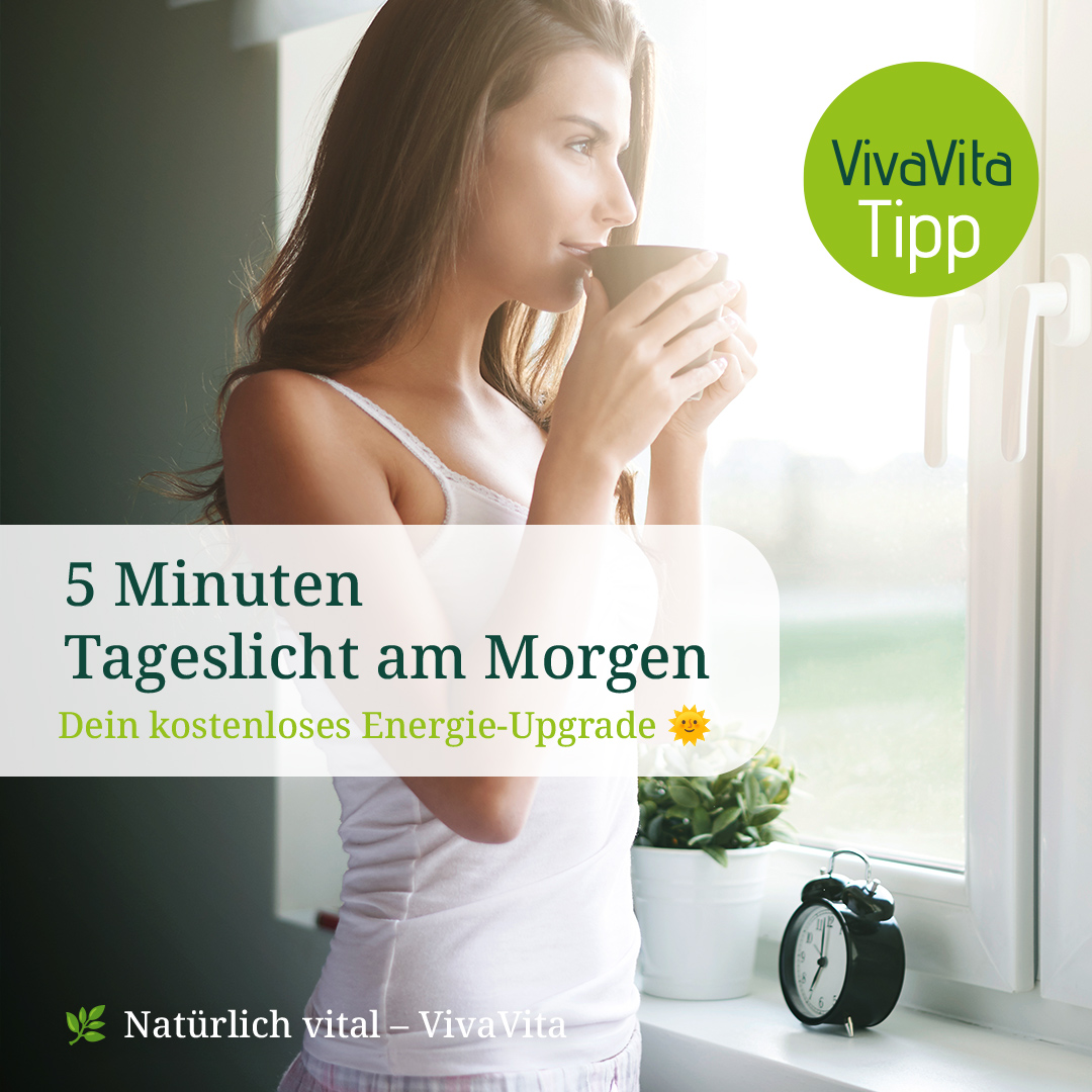Tipp6